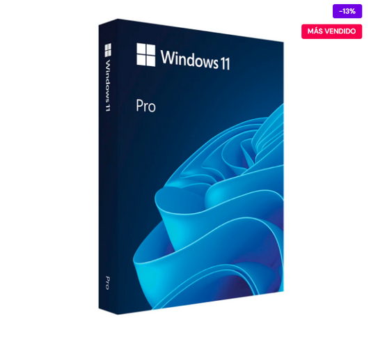 Windows 11 Pro